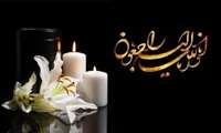 پیام تسلیت معاون تحقیقات به مناسبت درگذشت برادر بزرگوار دکتر ترکی