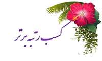 کسب رتبه برتر کشوری دانشگاه علوم پزشکی هرمزگان در جشنواره ملی ترجمان دانش