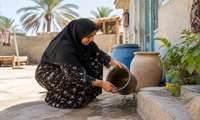 دنگی را از حیاط خانه‌ها کنترل کنیم یافته‌های یک پژوهش میدانی در هرمزگان
